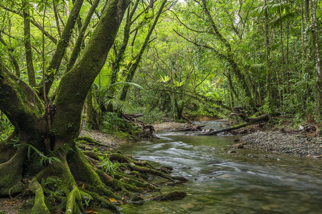 What the Leaders Told Us: Insights on Funding Nature