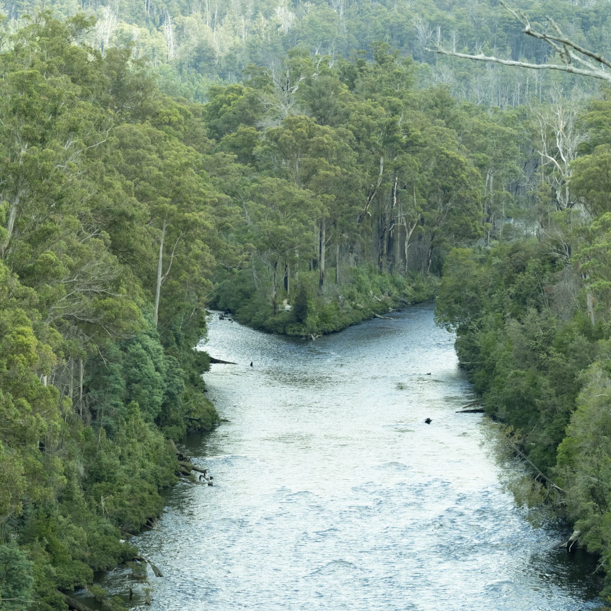 Resilient Waterways and Thriving Coastlines: Our 2025 Funding