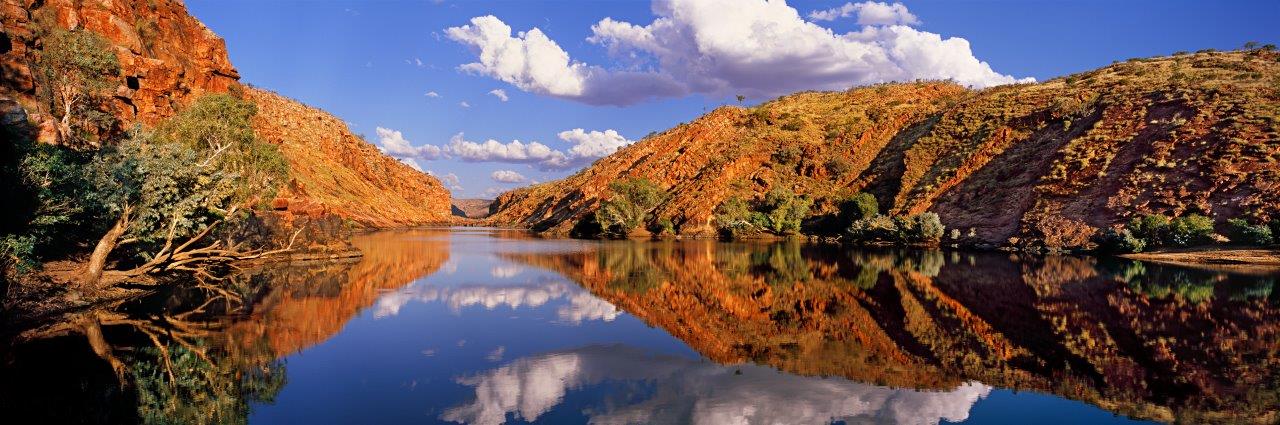 A Year of Building Relationships, Learning and Impact.