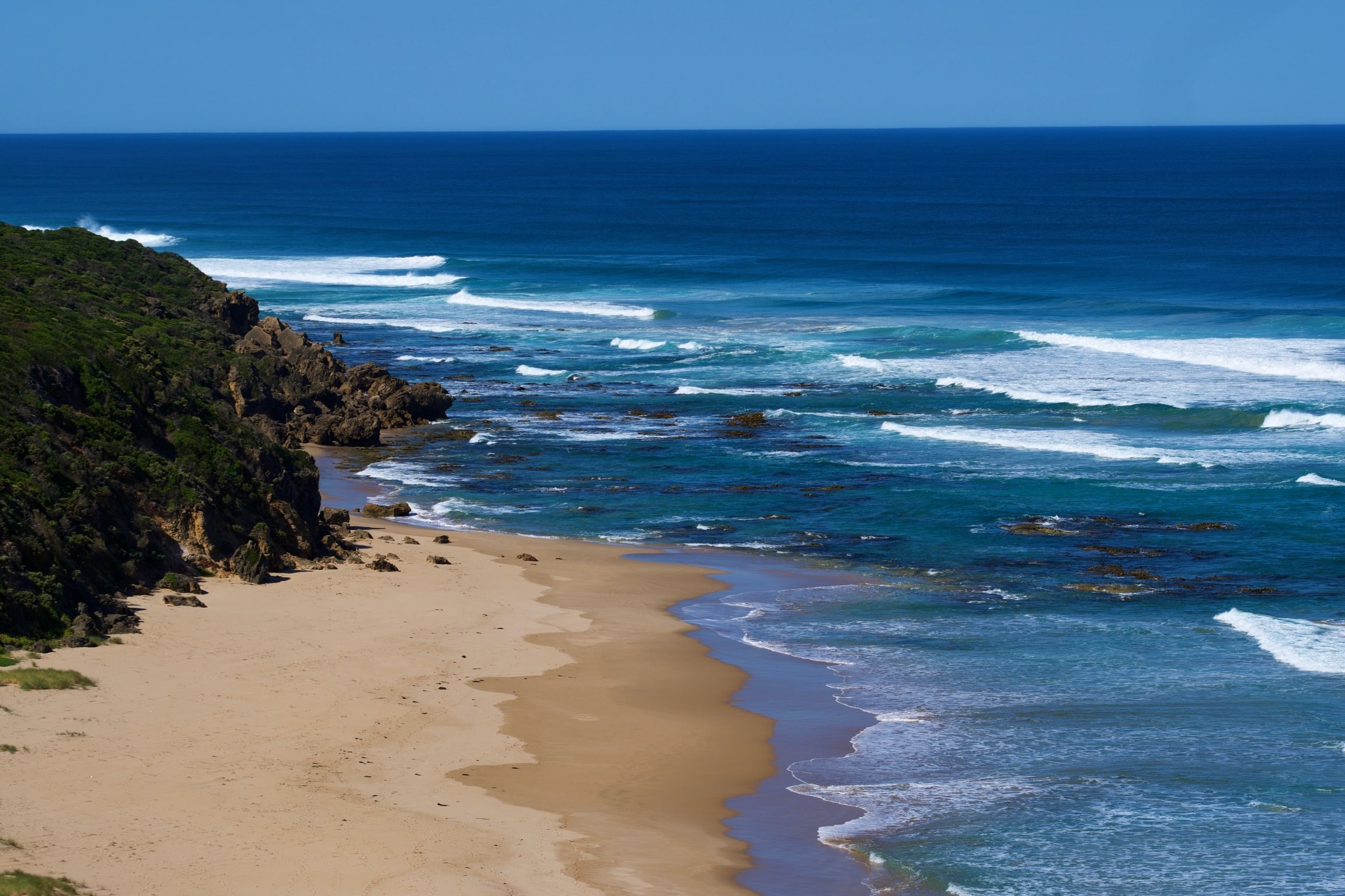 Iconic Coastline in Critical Need of Biodiversity Monitoring