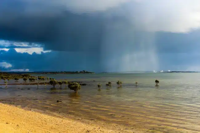 $5.8 Million and Growing: Building Momentum for Australia’s Rivers, Wetlands and Coastlines