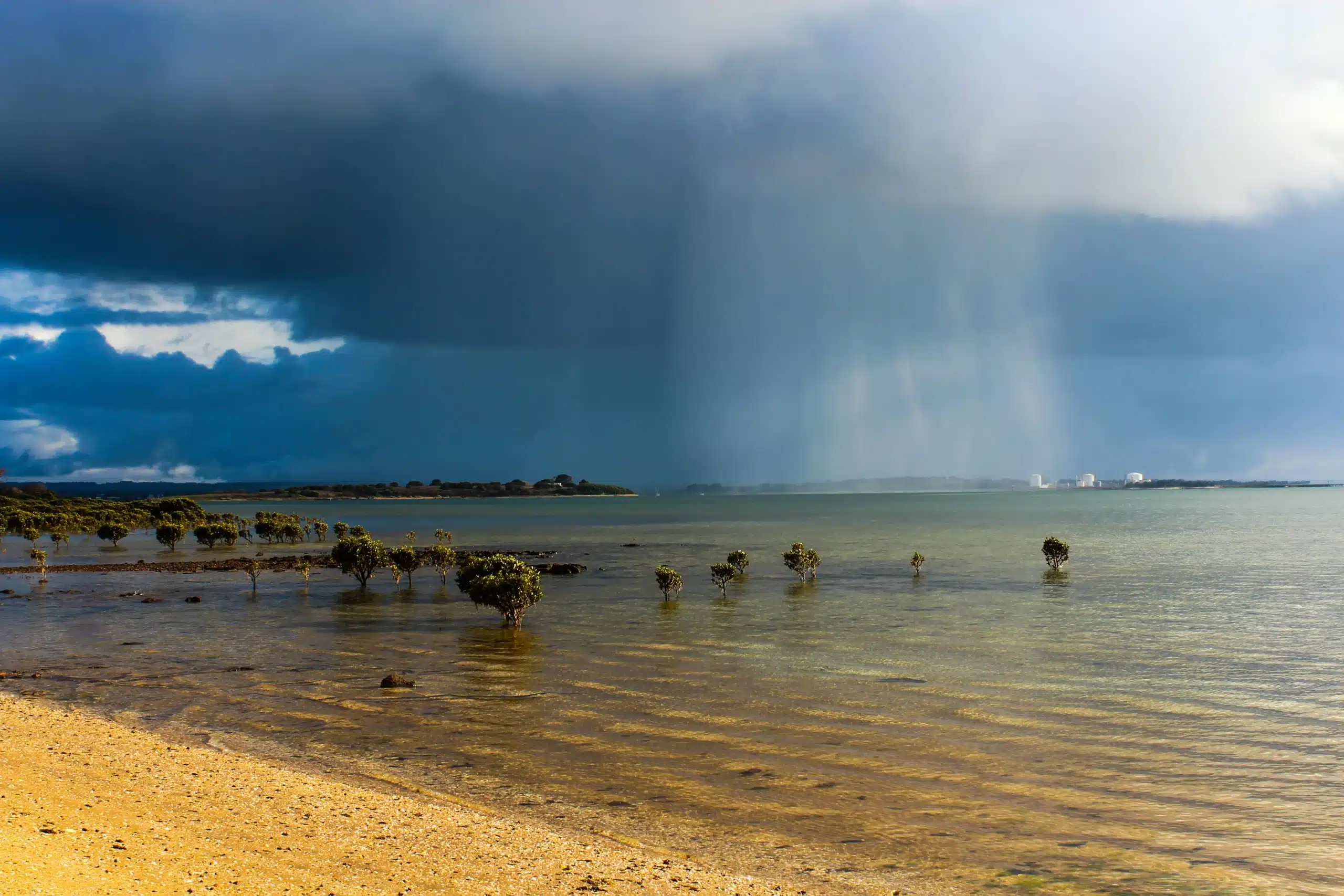 $5.8 Million and Growing: Building Momentum for Australia’s Rivers, Wetlands and Coastlines